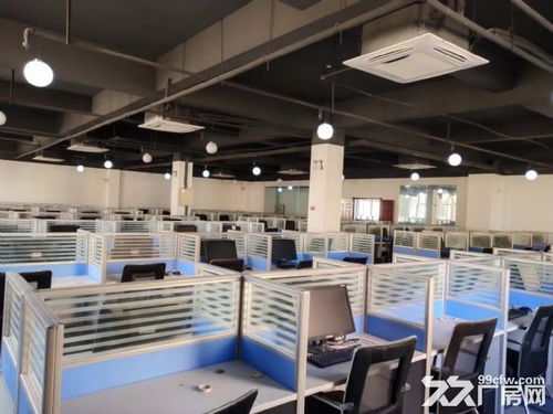 大學(xué)城旁政府產(chǎn)業(yè)園 軟件開發(fā)企業(yè)的理想創(chuàng)業(yè)基地